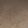 estebldecoh