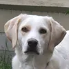 charlieresellss