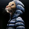 lucass_d_g