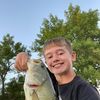 vb_baits