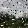 arwa_9910