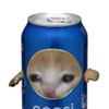 kepsi44