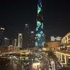 user.dxb213