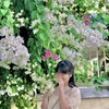 memangchou