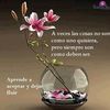 user2829216587604