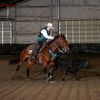 lexynueschhorsemanship