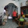andis.tampa.gadis