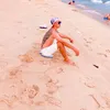 www.tiktok.comnqt