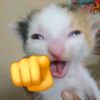 adrieljj_