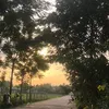 ngounbuns12567
