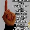 user6057742208457