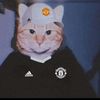 kucing3006