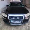 dimka_nurmetov85