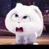 dyw93zjxfi93