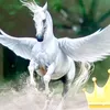 michl1_45pegasus