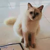random_likey