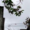 5agitariu50289