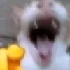 yeunuoc38