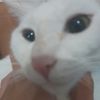 melpin_123