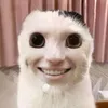 123321l08