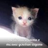 xd_0068