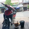 lamsport24