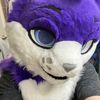 nixon_cat