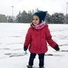 jaddonia