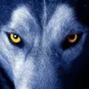 antonlobo14