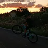robinontrek
