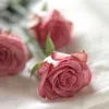 hamadadarwish01