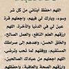 dyk6mk13qjzy