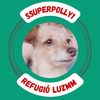 superpolly1