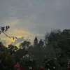 .user_2421
