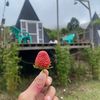 dewi.shops