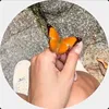 _nourrr222