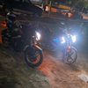 boli_2005