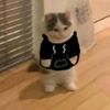 eliscdz_