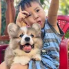 trangcorgigoldenxinhdep