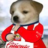 _pechoche_
