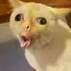 dudulmalasmakan