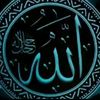 user2239269155443
