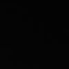 levih091