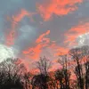 user_5423914