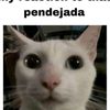xmanuu