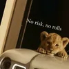 diegovegas01