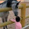 hiii_b.aa8