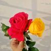 dyhq6eaxm5rg