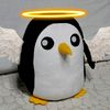 hola_8224