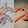 laibagull21